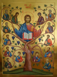 Christ the Vine